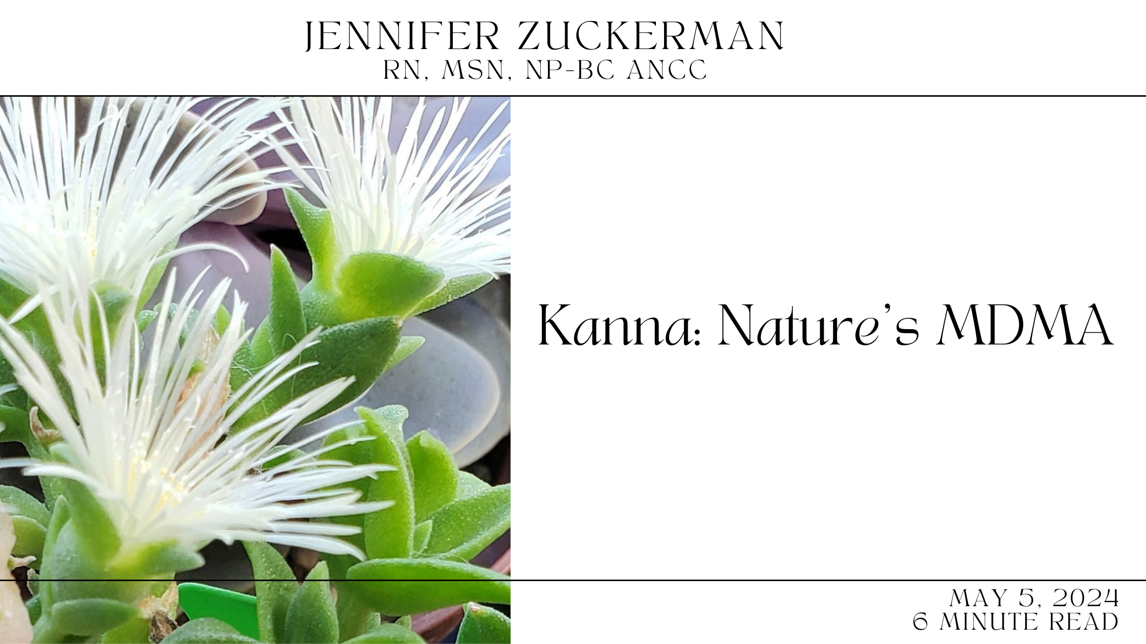 Kanna: Nature's MDMA